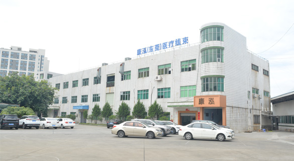 康泓(東莞)醫(yī)療線(xiàn)束科技有限公司